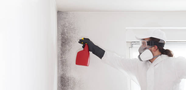 Best Crawl Space Mold Removal  in Sterling, VA