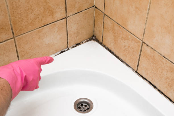 Best Crawl Space Mold Removal  in Sterling, VA